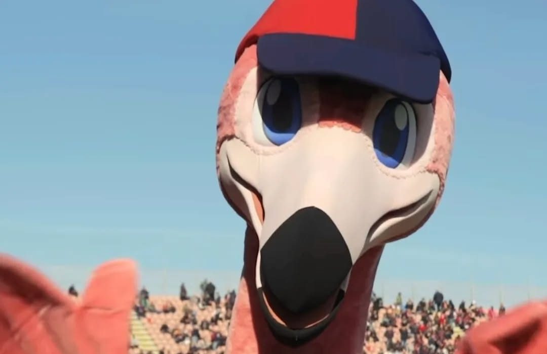 Il Cagliari ritrova la mascotte Pully a San Siro: la gag social sul divieto di trasferta a Empoli