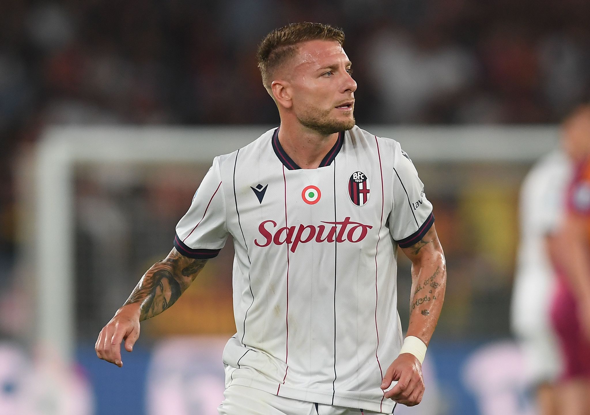 Bologna, Immobile fa ancora differenziato: il punto sull’infermeria