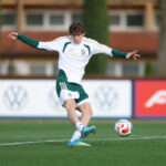 ✗ Palestra convince Garlando: un posto nella top 11 della Serie A