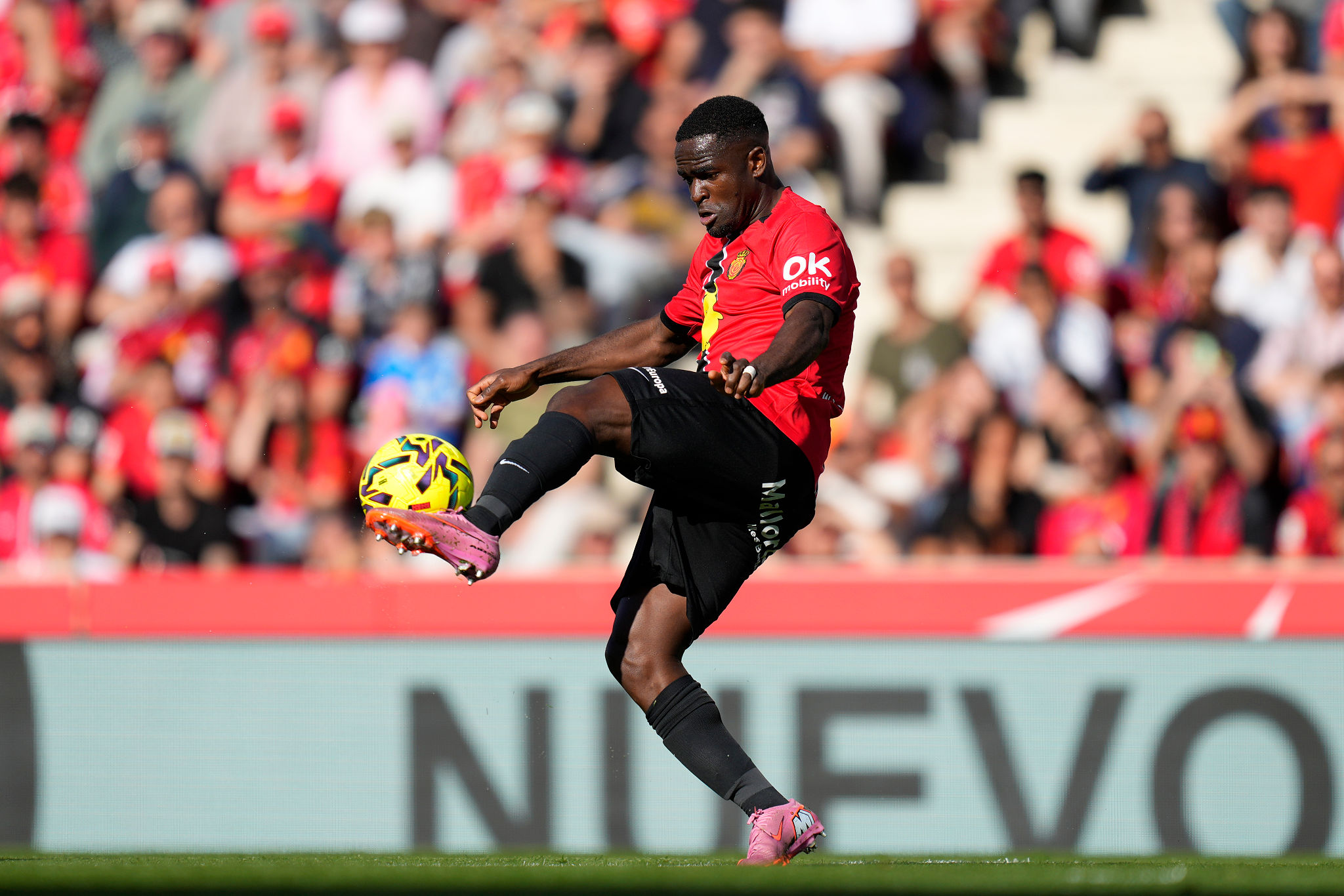 Stop per Luvumbo a Maiorca, l'attaccante del Cagliari fuori tre settimane